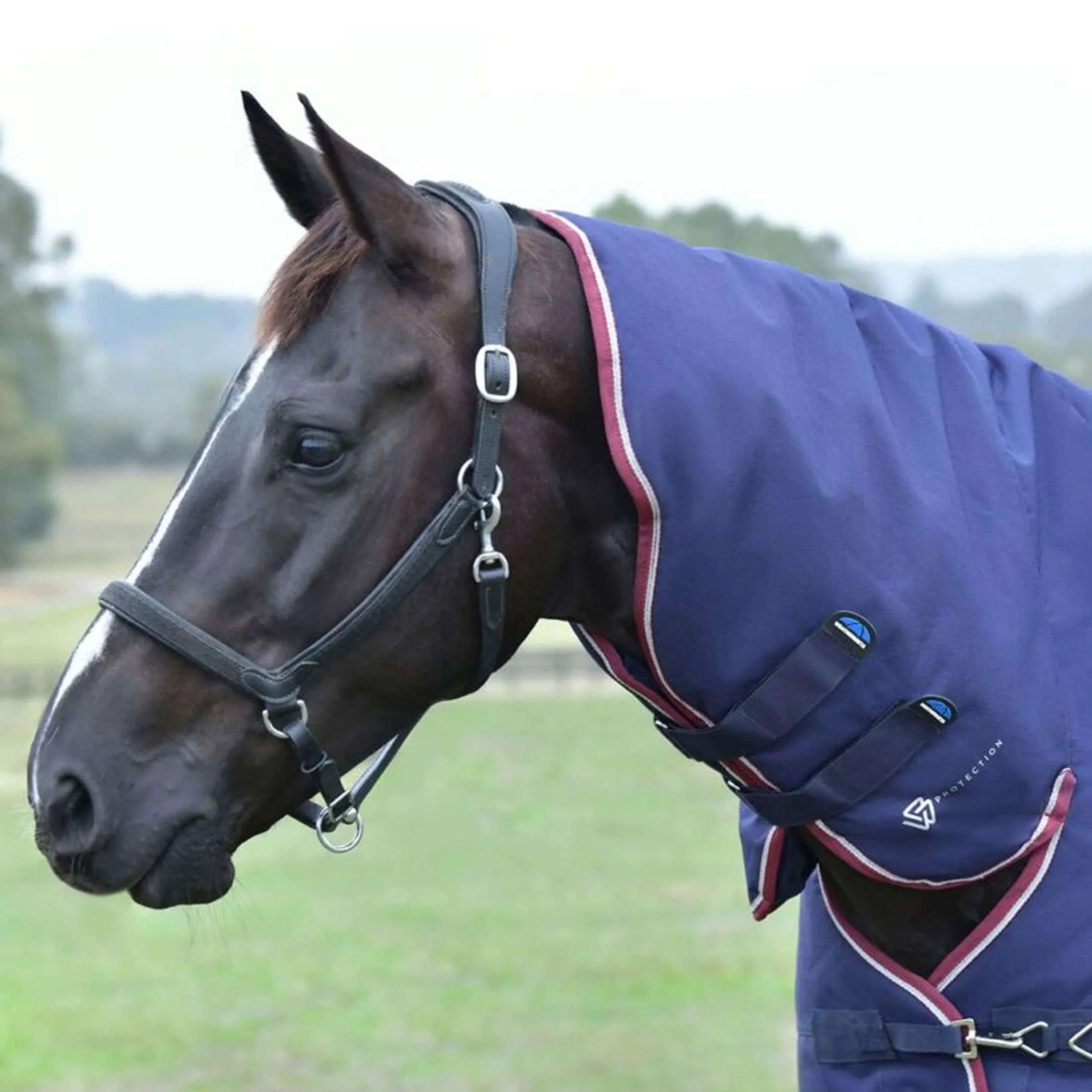 WeatherBeeta ComFiTec Essential Turnout Combo 220g Navy/Burgundy - Image 3