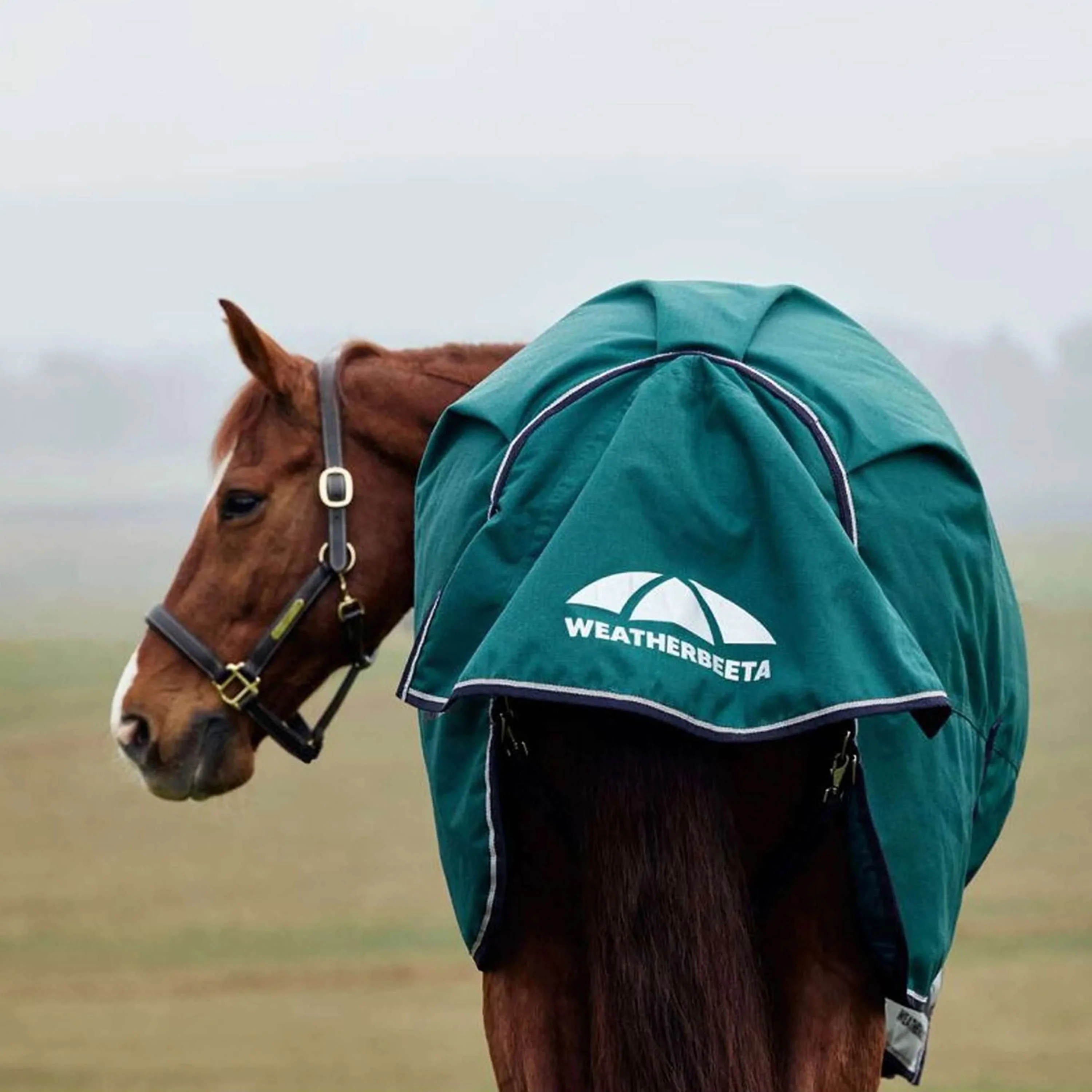 WeatherBeeta ComFiTec Plus Dynamic Turnout 220g Forest Green/Navy - Image 8