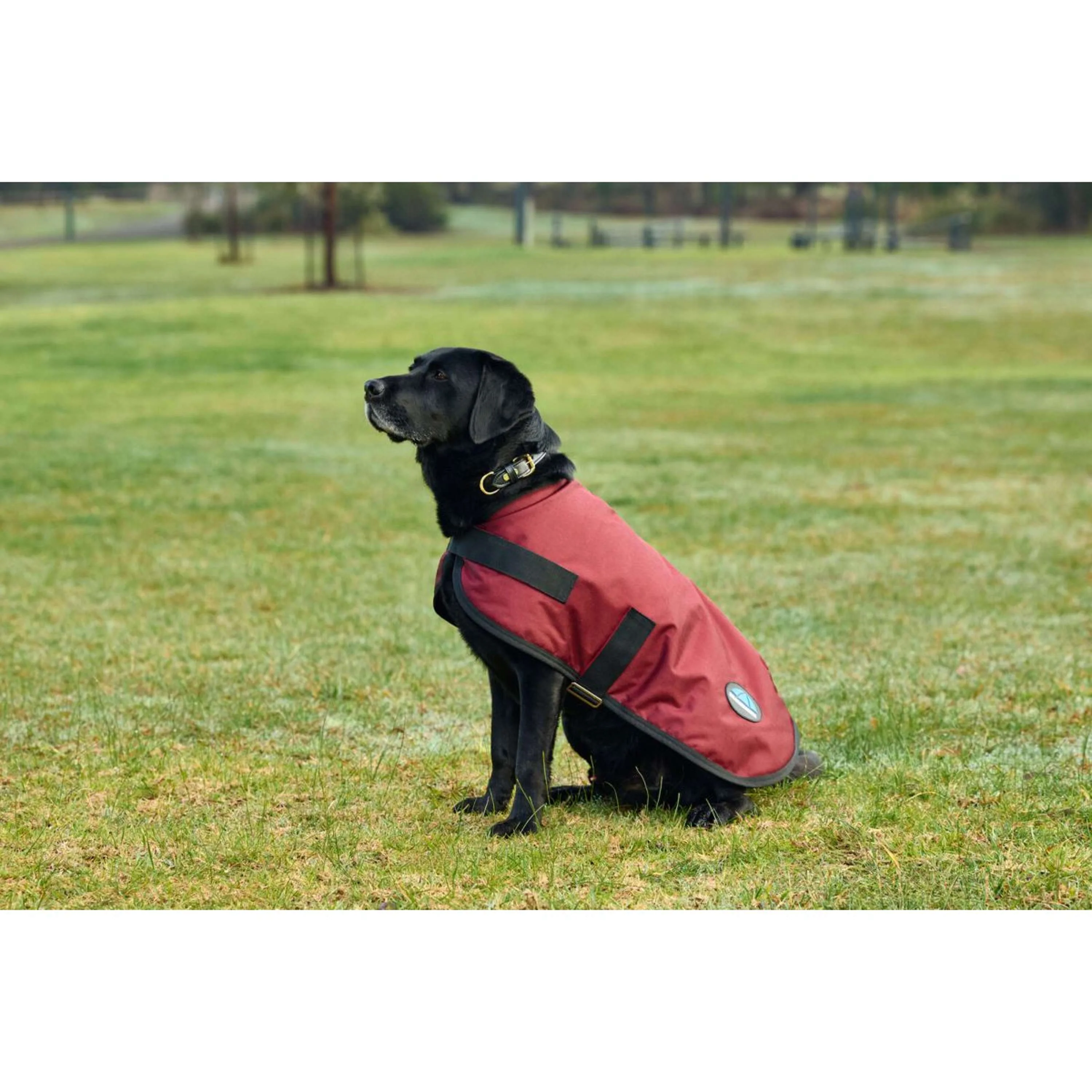 WeatherBeeta Hundedecke ComFiTec Classic Waterproof Burgunderrot - Image 4
