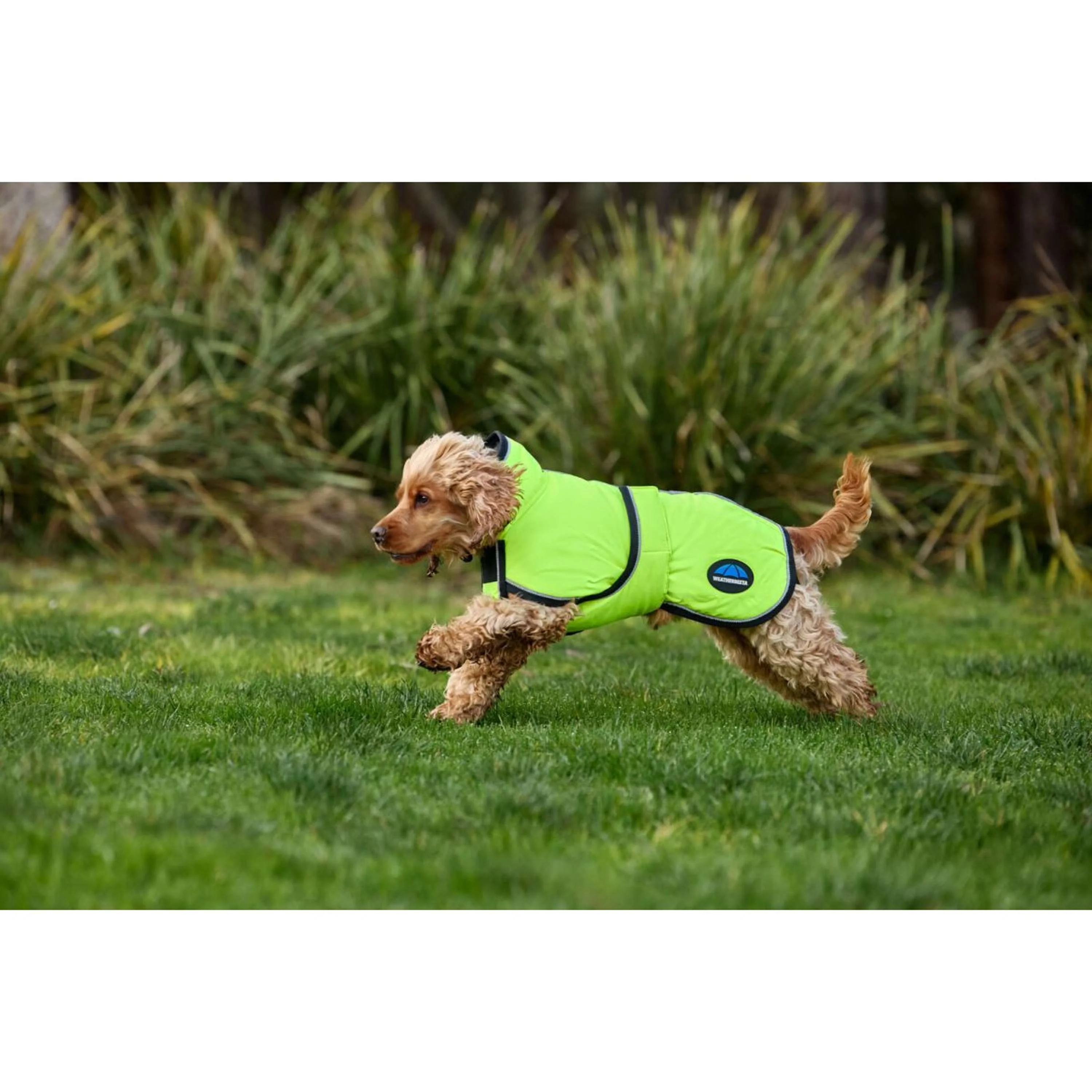 WeatherBeeta Hundedecke ComFiTec Reflective 300D Deluxe Showerproof Gelb - Image 6
