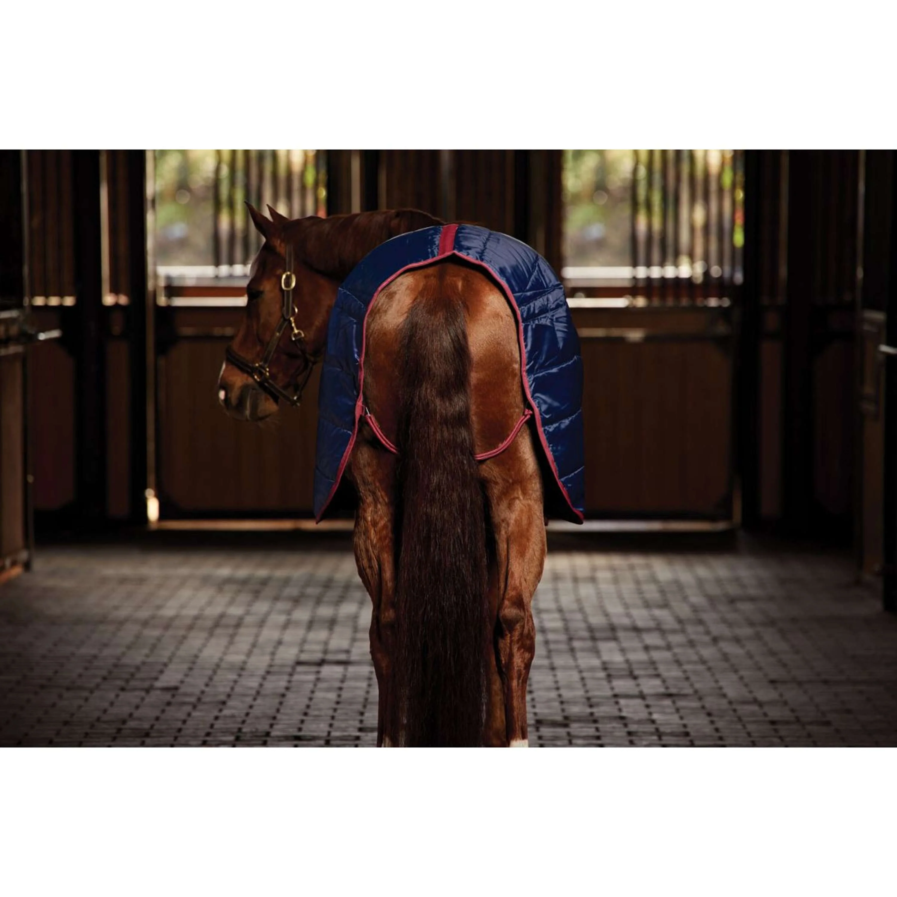 WeatherBeeta Stalldecke ComFiTec 210D Channel Quilt Standard Neck 100g Navy/Burgundy - Image 5