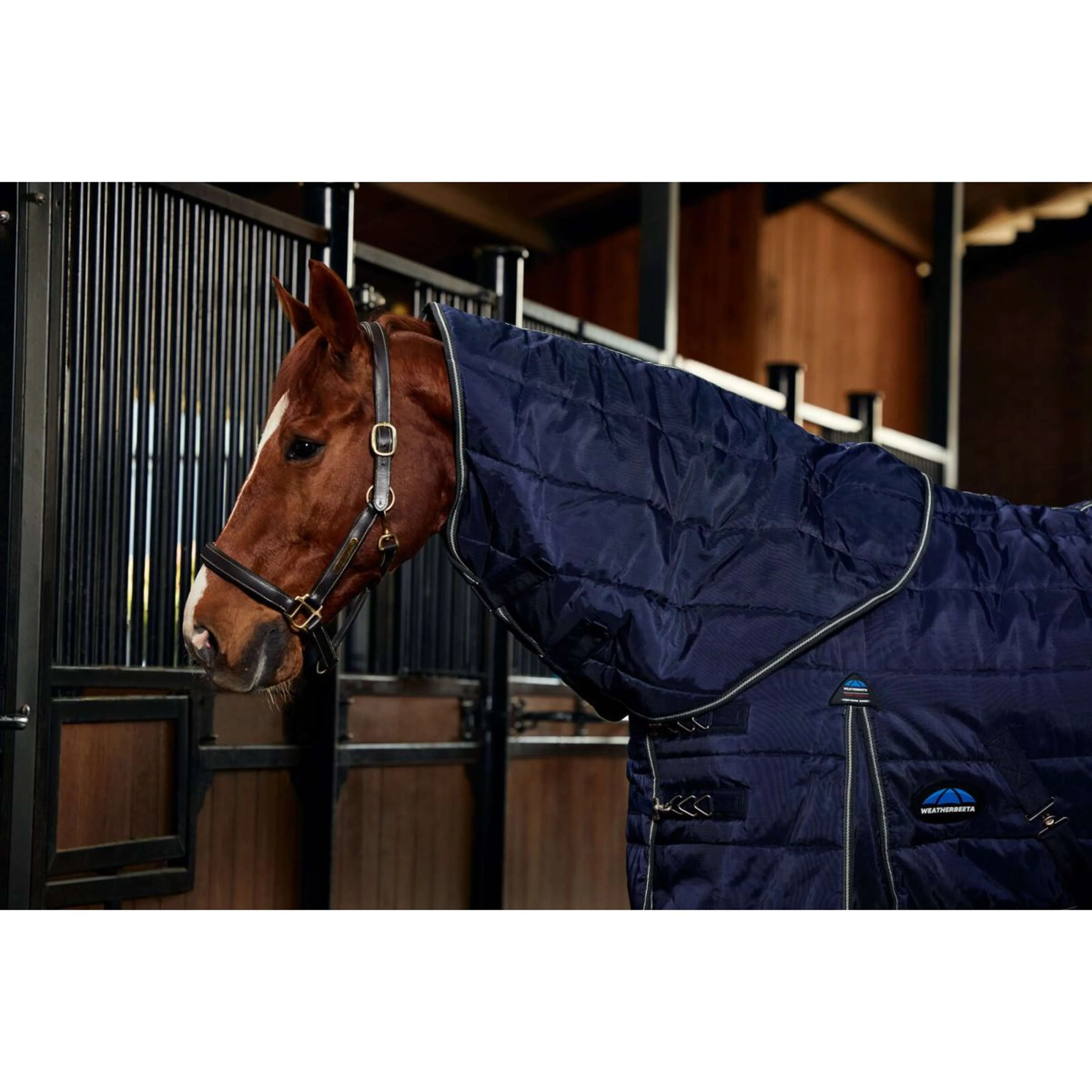 WeatherBeeta Stalldecke ComFiTec PP Channel Quilt Detach-A-Neck 220g Navy/Kohle - Image 4